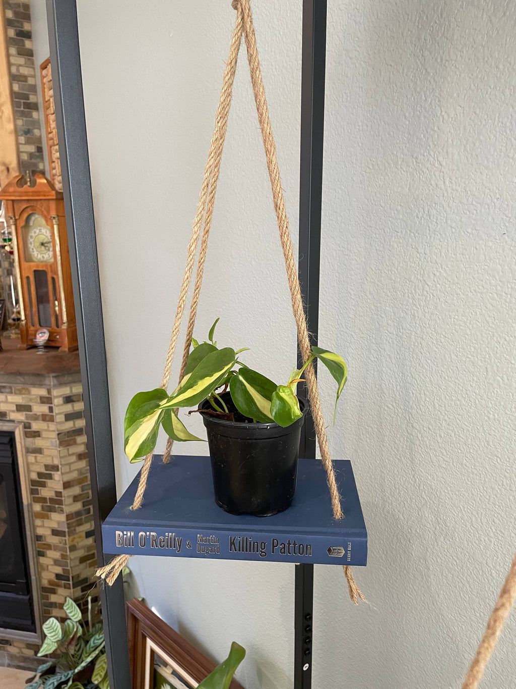 Bookish Shelf Planter