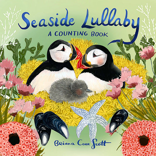 Seaside Lullaby Board Book