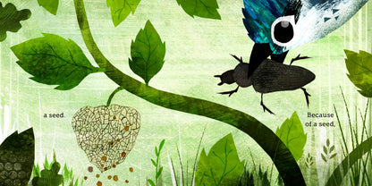 Because of an Acorn by: Lola M. Schaefer