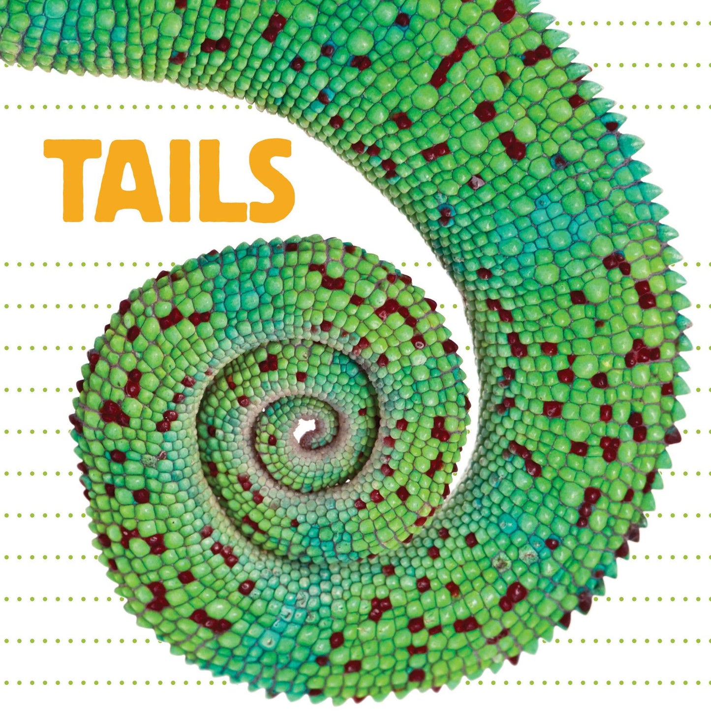 Tails Board Book