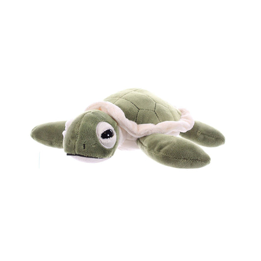 9" (20cm) Hatchling Sea Turtle