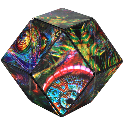 Shashibo The Chameleon Magnetic Puzzle Cube STEM STEAM MESH