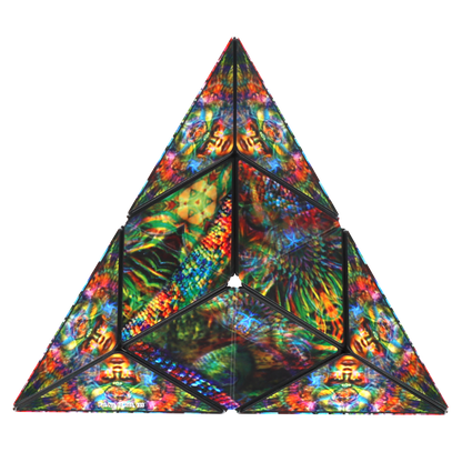 Shashibo The Chameleon Magnetic Puzzle Cube STEM STEAM MESH