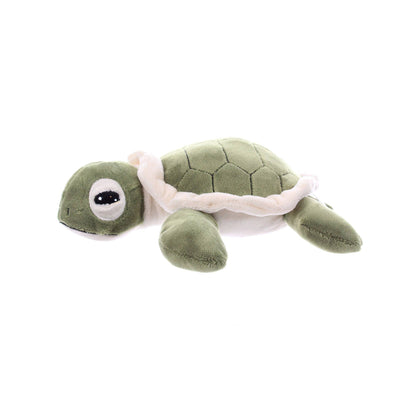 9" (20cm) Hatchling Sea Turtle