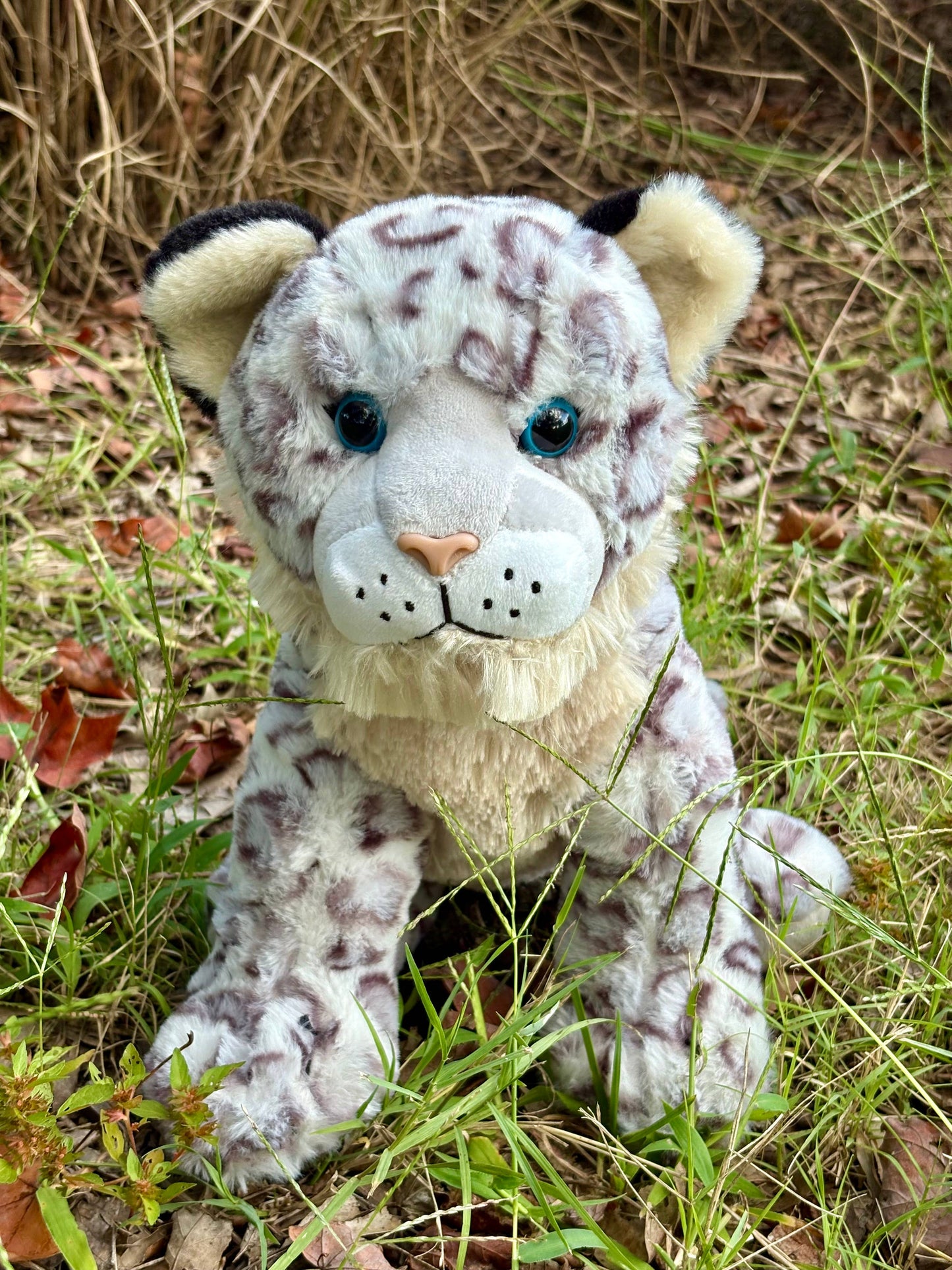 12" (28cm) Wild Onez Snow Leopard
