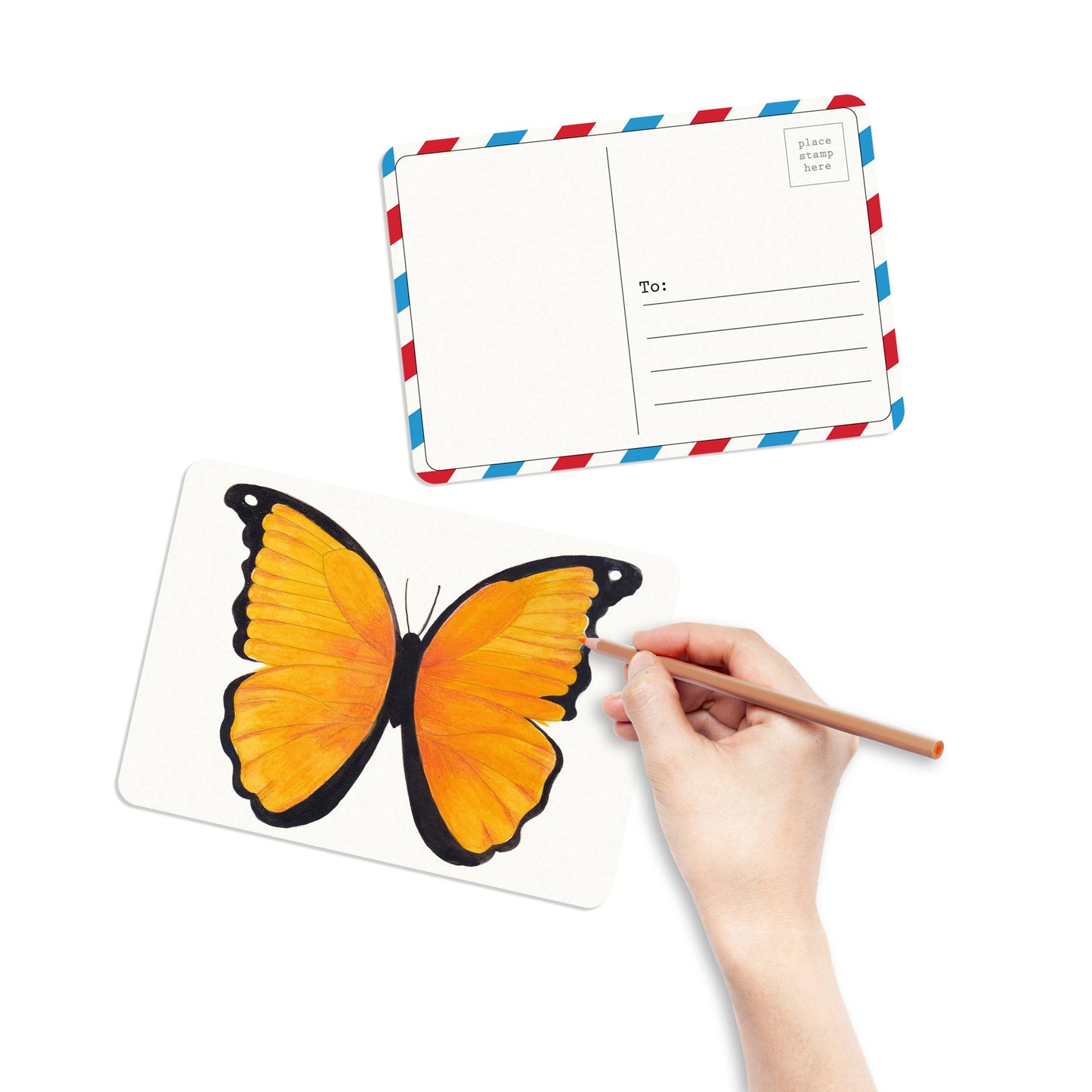 Coloring Postcards w/ 6 Butterfly & Moth Designs (30cards)