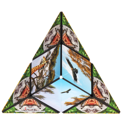 Shashibo Savanna Magnetic Puzzle Cube STEM STEAM MESH