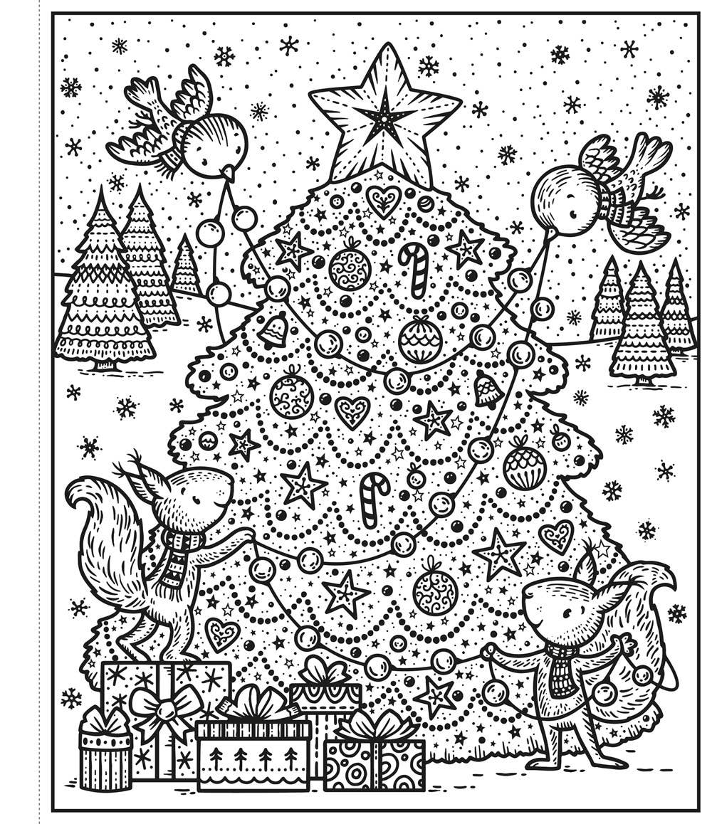 Enchanted Christmas Magic Painting Book : Usborne