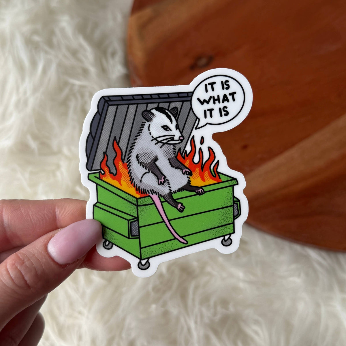 "It is what it is" Possum Dumpster Fire Sticker
