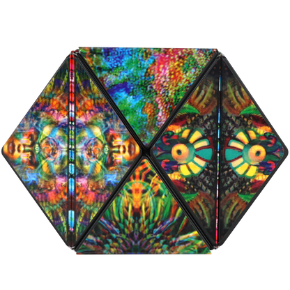Shashibo The Chameleon Magnetic Puzzle Cube STEM STEAM MESH