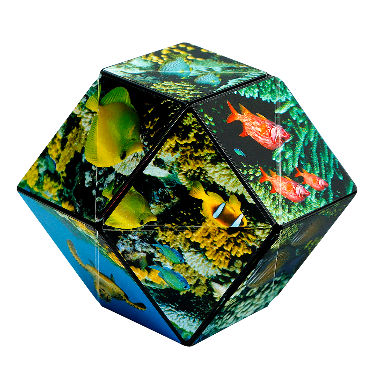 Shashibo Undersea Magnetic Puzzle Cube STEM STEAM MESH