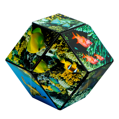 Shashibo Undersea Magnetic Puzzle Cube STEM STEAM MESH