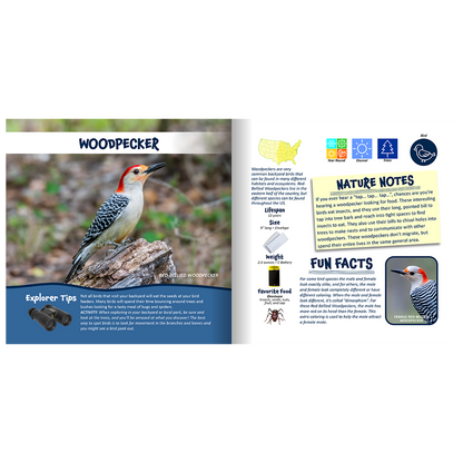 Nature Explorer Discovery Kit, Backyard Critters & Creatures