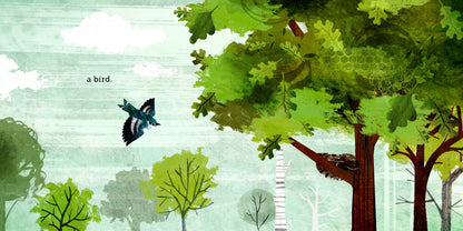 Because of an Acorn by: Lola M. Schaefer
