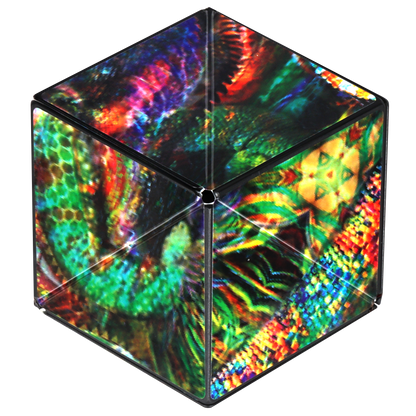 Shashibo The Chameleon Magnetic Puzzle Cube STEM STEAM MESH